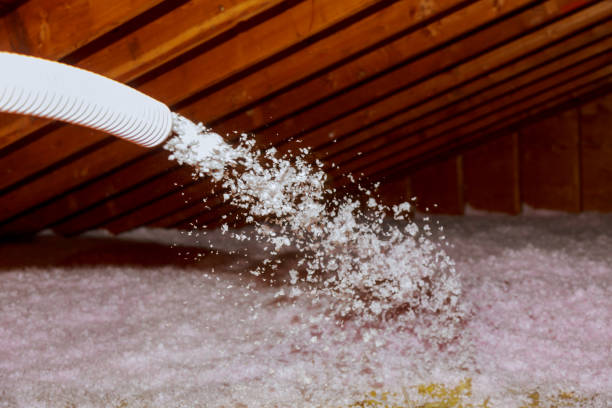 Best Commercial Insulation in Maineville, OH