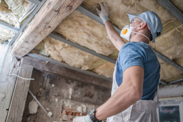 Best Residential Insulation in Maineville, OH